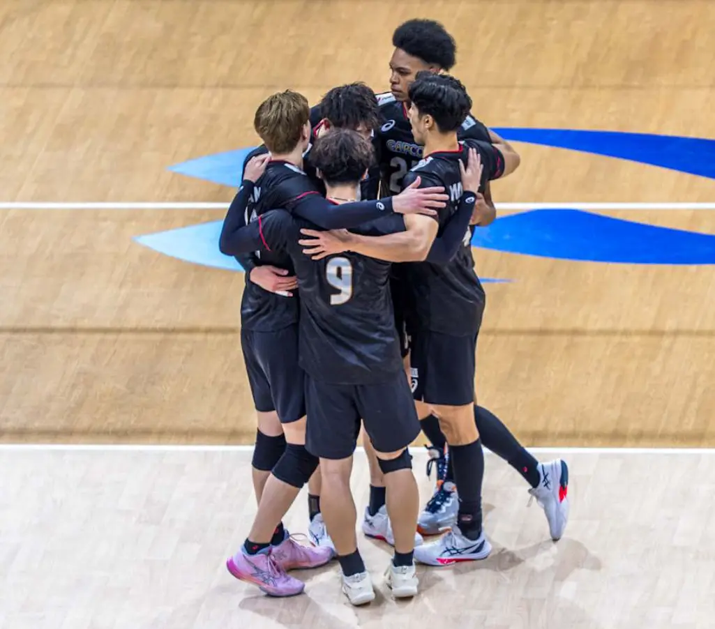 土耳其扣, msn, alt